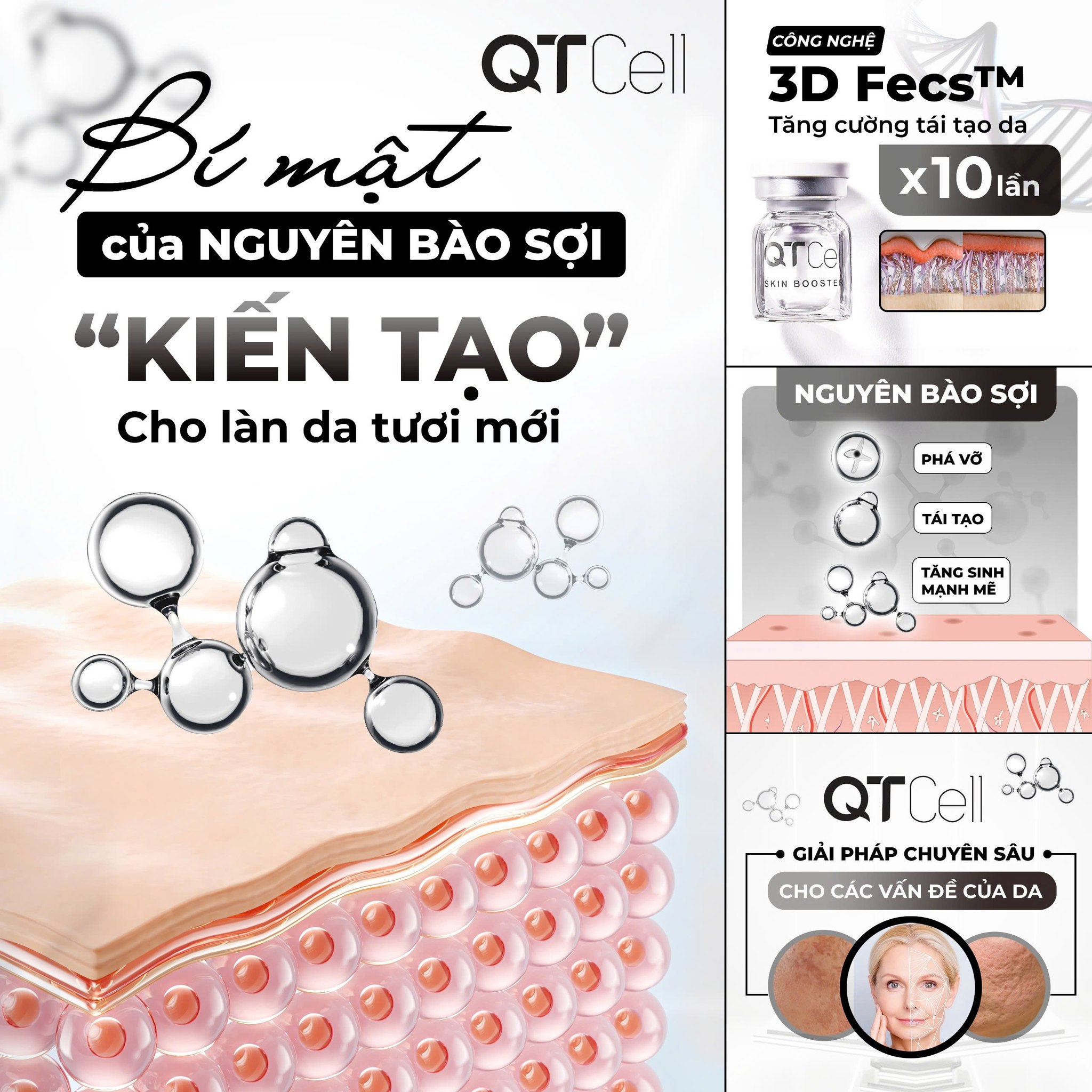 Nguyên bào sợi: Kiến tạo cho làn da tươi mới
