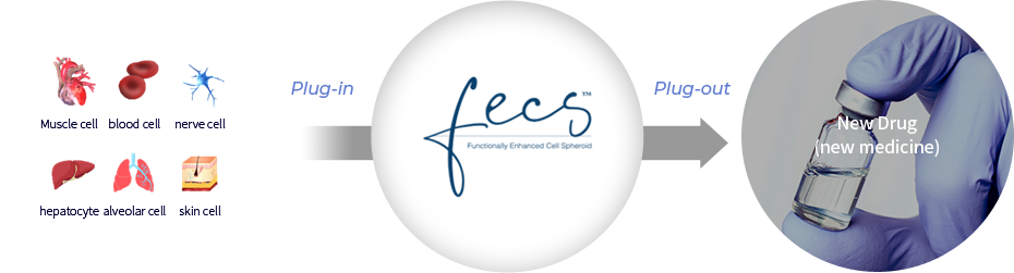 TRẺ HÓA BẰNG NGUYÊN BÀO SỢI