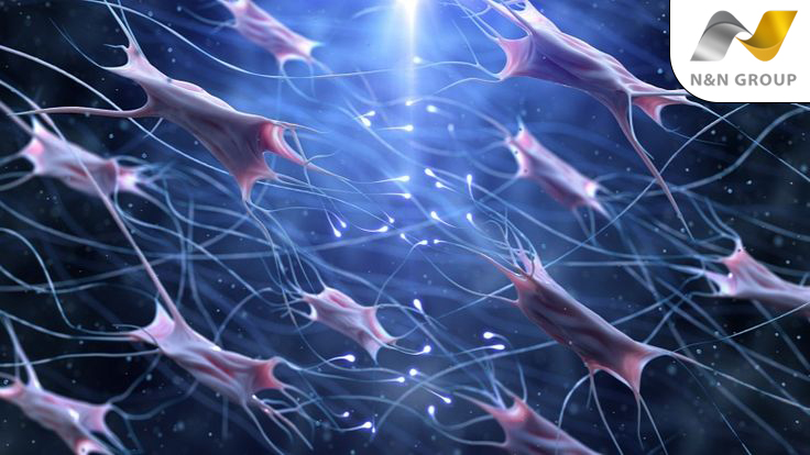 Công nghệ 3D FECS là gì?