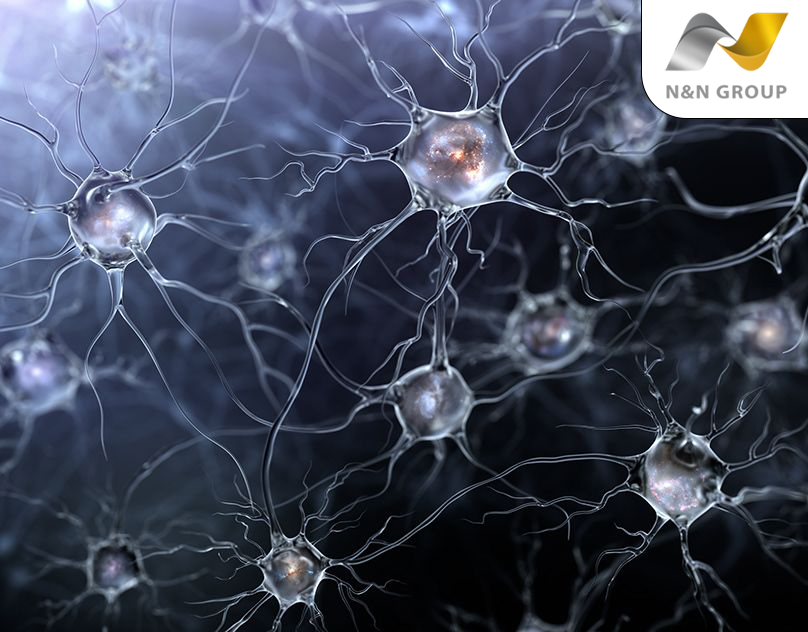 Sự vượt trội của công nghệ 3D FECS